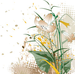 Floral abstraction
