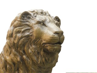 tête de lion © Bruno Herold