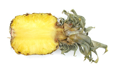 Ananas pineaplle cross section 