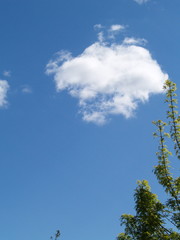 Fototapeta premium ciel Provence