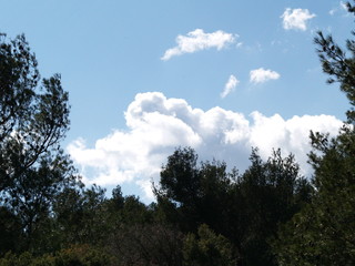 Obraz premium ciel provence