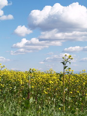 ciel provence