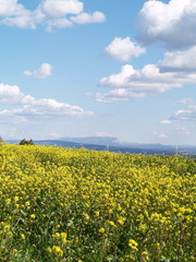 ciel provence