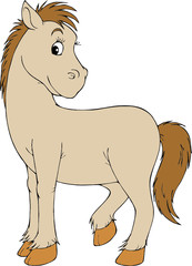 Horse