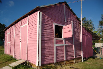 Fototapeta na wymiar Pink House
