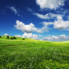 Field an clouds