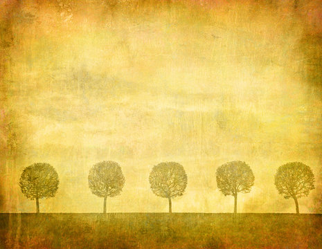vintage image of trees on grunge background