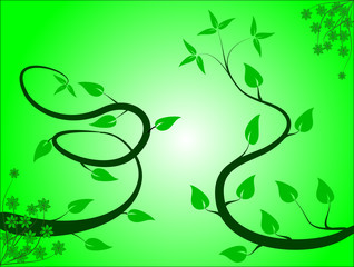 Green Floral Background