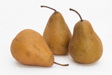 Pears