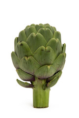 Artichoke