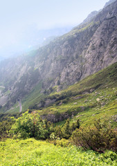 Swiss Alps