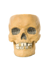 skul ash-tray isolated on white