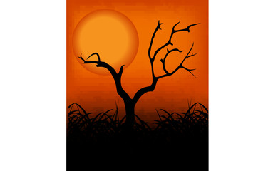 Tree in the sunset 02