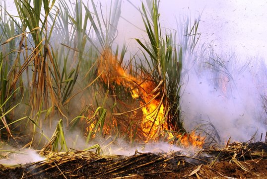 feuer