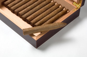 Torpedo cigar with humidor