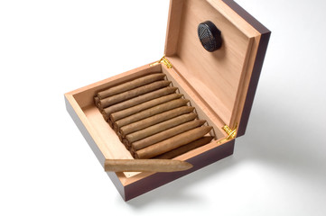 Torpedo shaped cigar resting on a cherry wood humidor