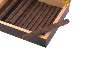 Dark maduro cigar resting on humidor