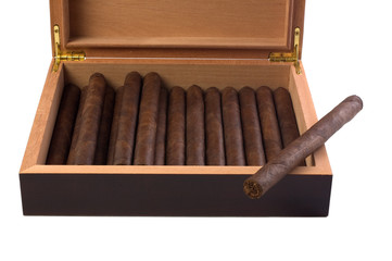 Dark maduro cigar resting on humidor