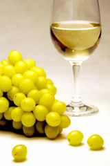 White Wine Grapes