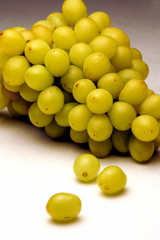 White Wine Grapes