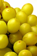 White Wine Grapes