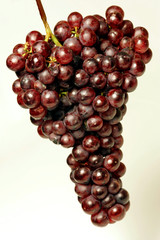 Red Grapes