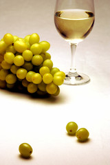 White Wine Grapes