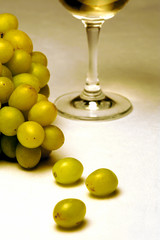 White Wine Grapes