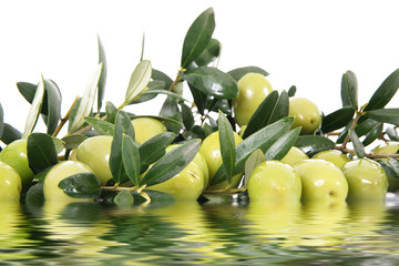 olive