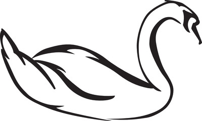 Floating Swan