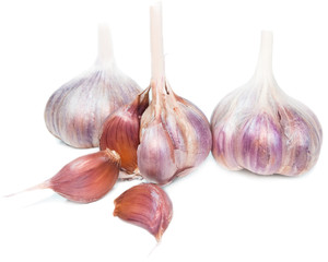 garlic isolated over white
