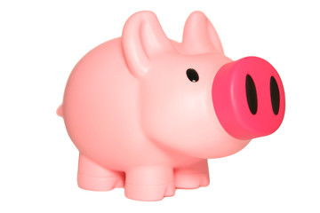 pink piggy bank