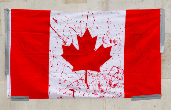 Seal Pup Hunt Protest Flag