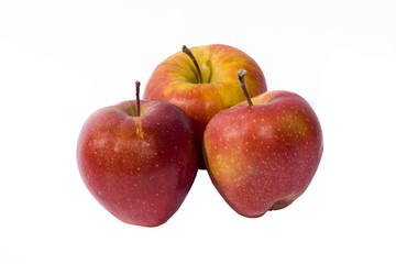 apples with water drops