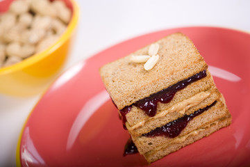 Peanut Butter and Jelly Sandwich