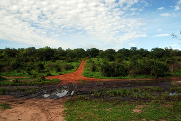 road in savanna