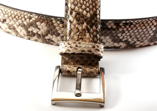 Cintura di pitone