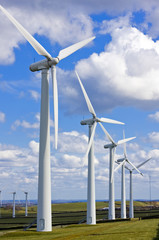 Windmills in windfarm
