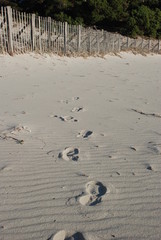Des pas sur la plage