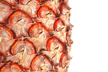 Fototapeta premium Pineapple in close-up