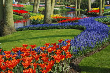 beautiful garden © Eric Gevaert