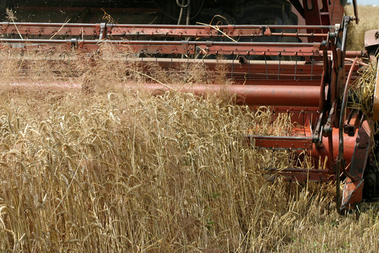 Machine harvesting