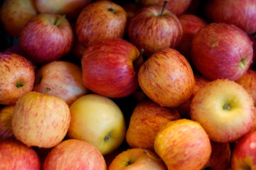 a lot of red apples