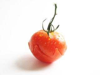 Tomato