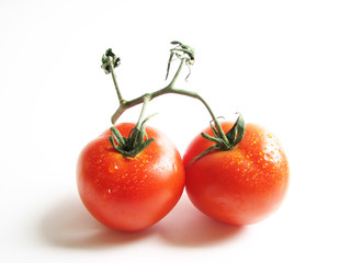 Tomato