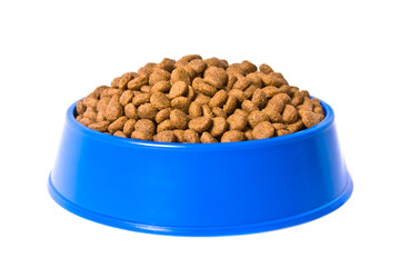 Pet's bowl with meal