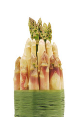 Spargel