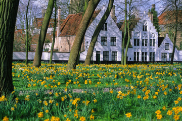 Obraz premium LE BEGUINAGE DE BRUGES