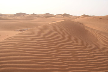 Fototapeta na wymiar Sahara sous la chaleur et le soleil ardent