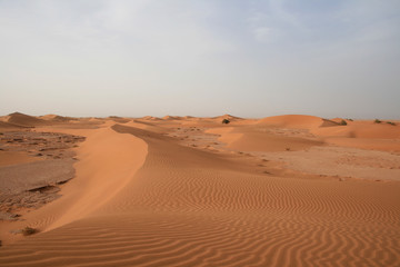 Fototapeta na wymiar Dunes du Sahara marocain